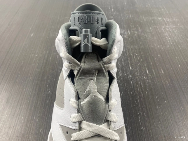Reps TBK Air Jordan Grey CT8529-100 6 Cool 0706